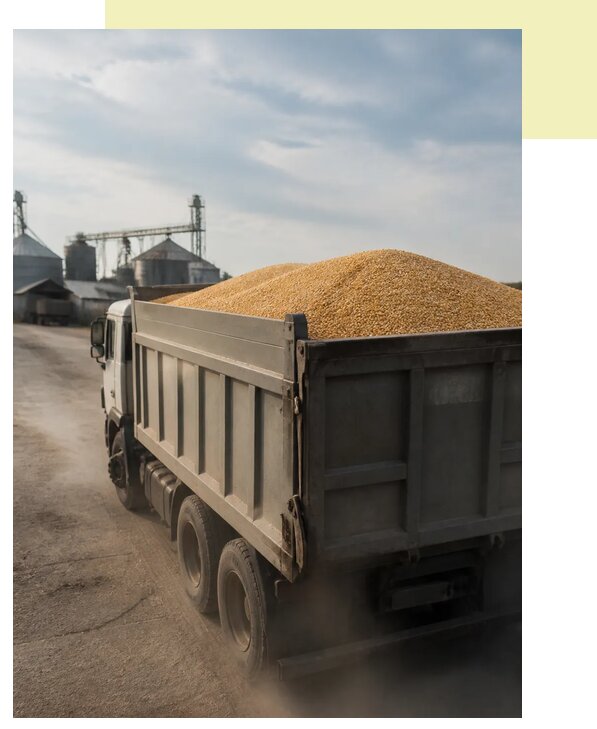 Перевозка сельхозпродукции навалом в Елабугу по цене от 3038 р. | Агросервис-Лбг